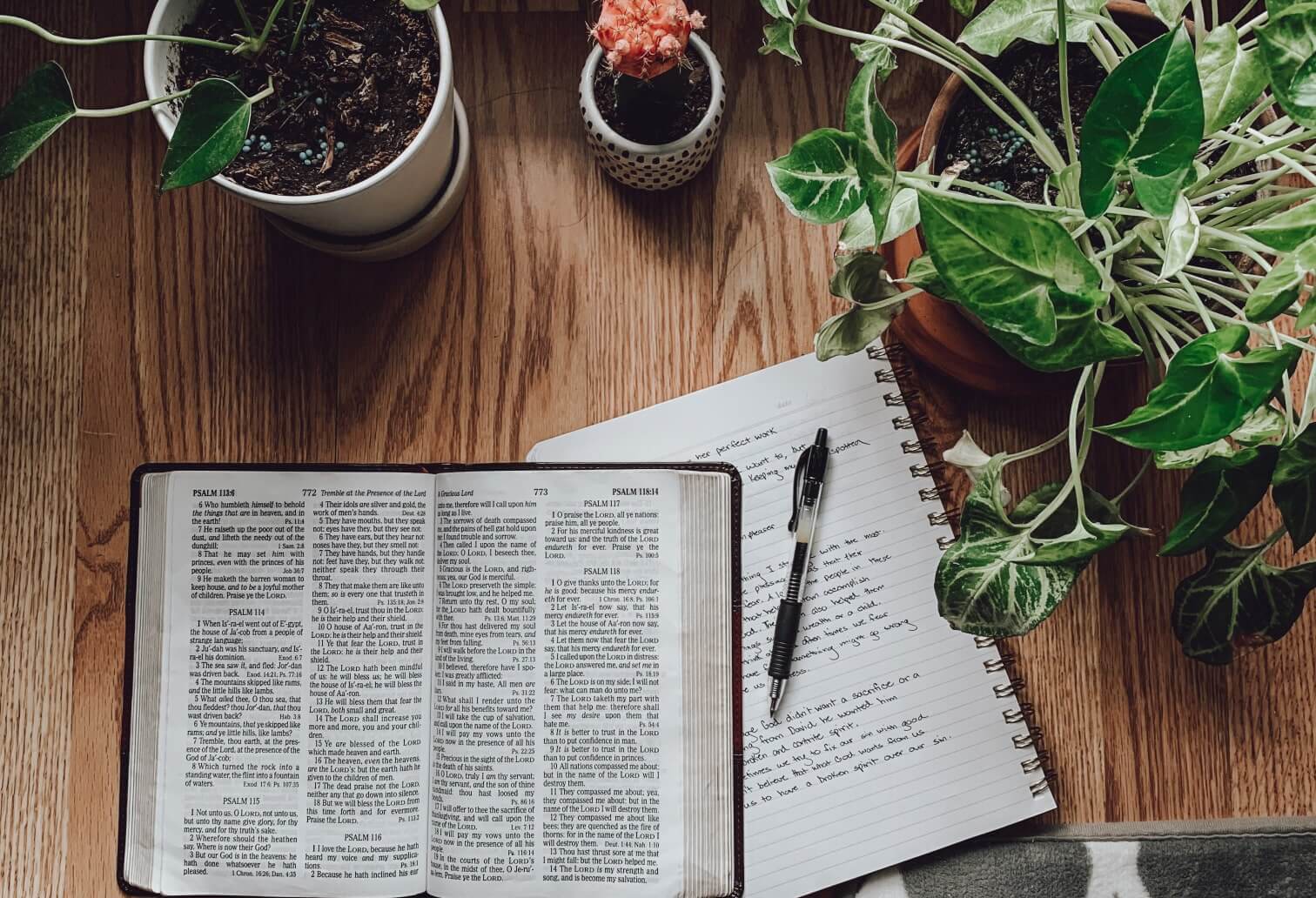 bible on table with plants