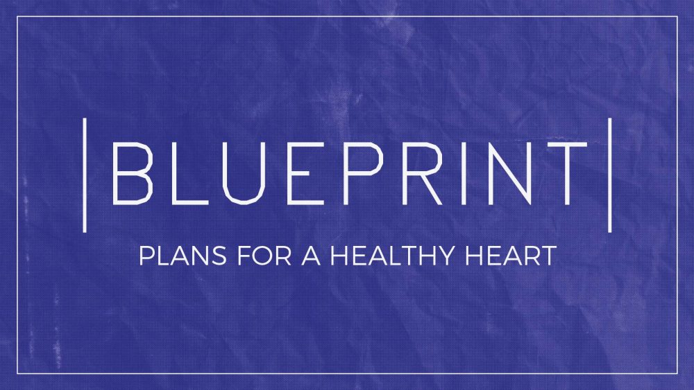 Blueprint – The Foundation (Wisdom) series image